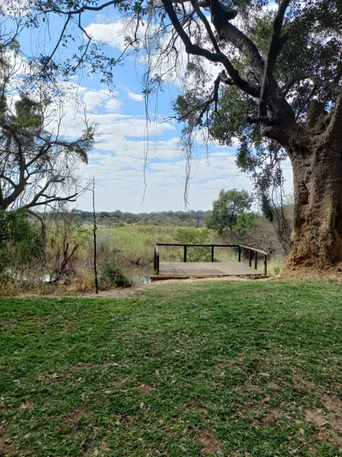 Campsite 5 with a viewing deck over the floodplain
