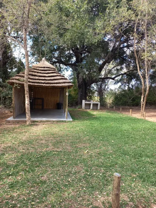 Campsite 9 with a thatched shelter on green grass