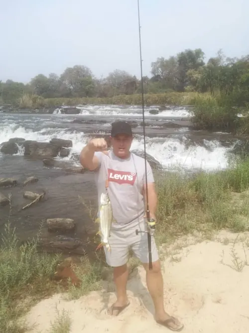 A tigerfish caught at the falls